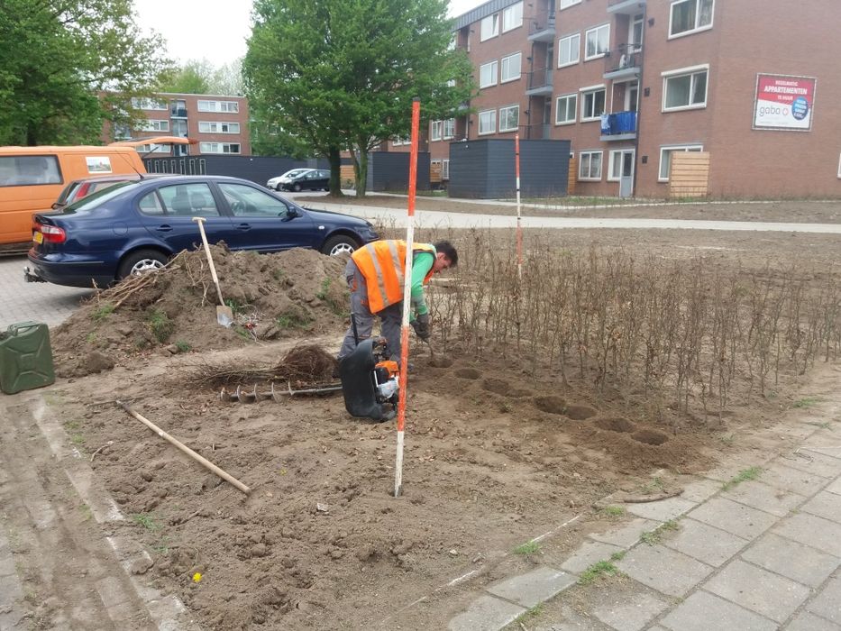 Defrisari terenuri Cosit iarbs, parcuri, păduri