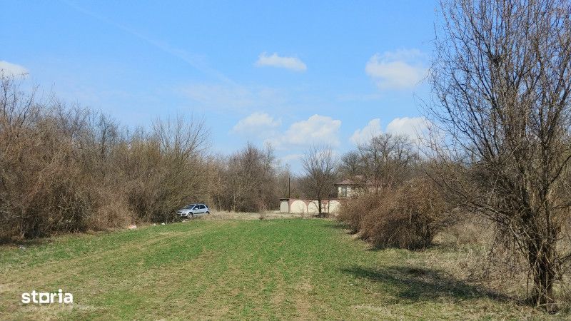 Teren intravilan Magurele langa padurea Cornetu si Arges