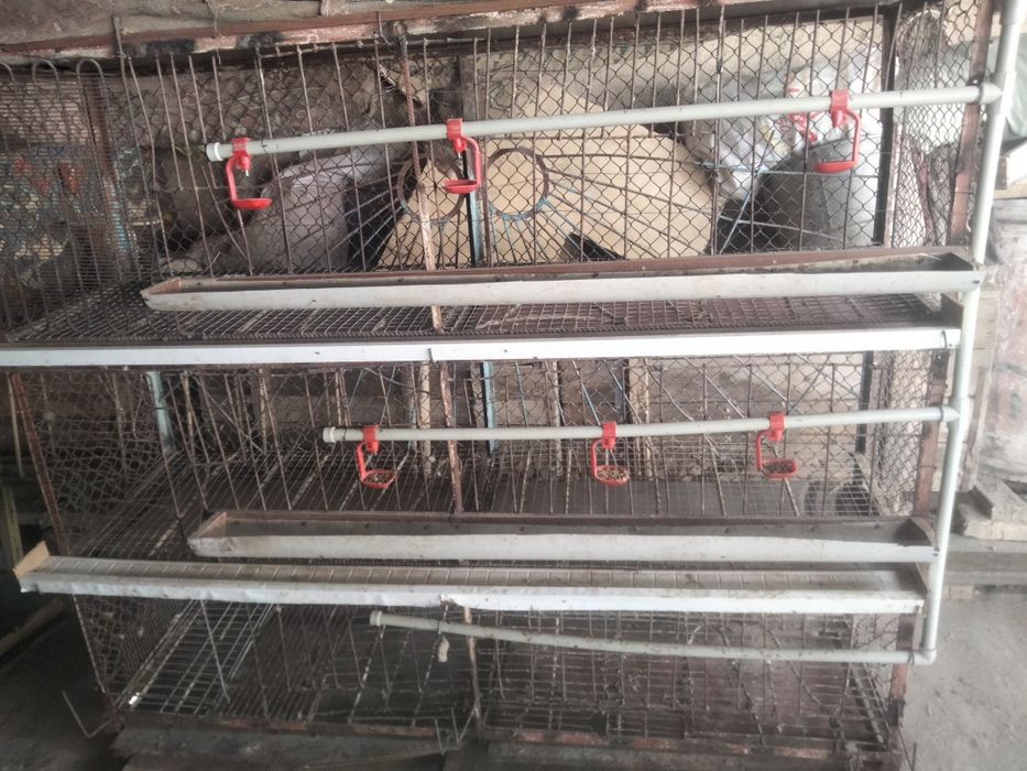 Сетка для куриц с поилкой