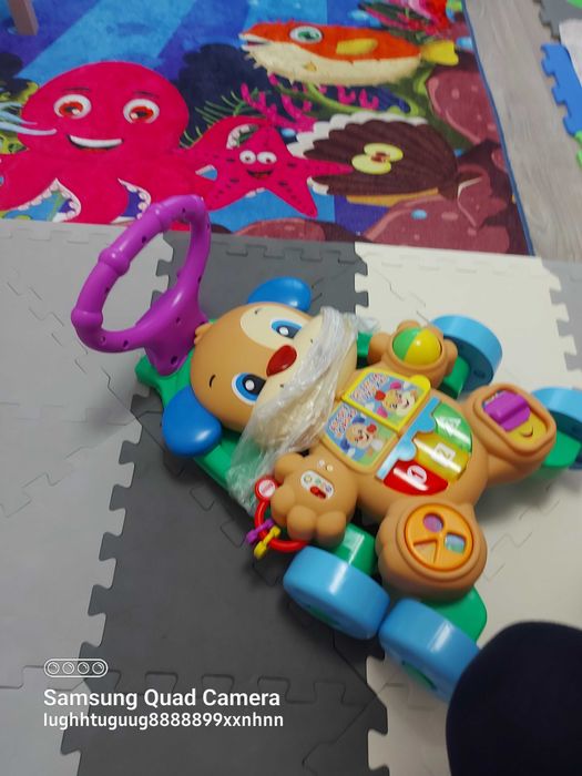 Antepremergator Fisher Price, 6m-30m