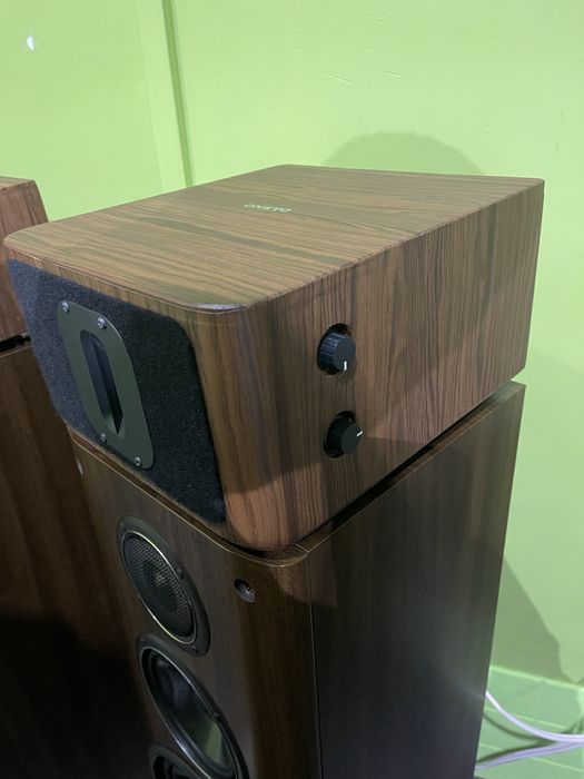 Акустика Onkyo D1000