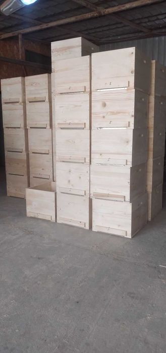 Rame tei stupi,rame insarmate,lazi stupi,hranitoare-DOLJ