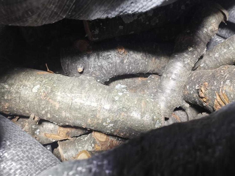 Продавам нарязани дърва за огрев