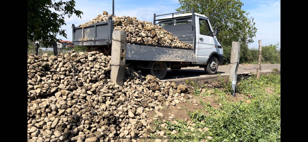 Miniexcavator de inchiriat