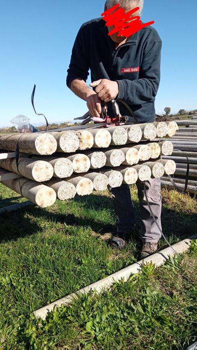 Stâlpi de beton spalieri gard