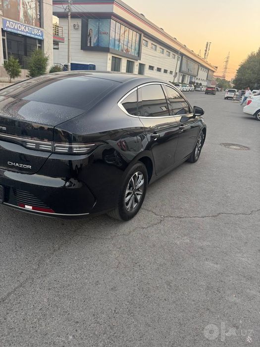 BYD Chazor 2024 g