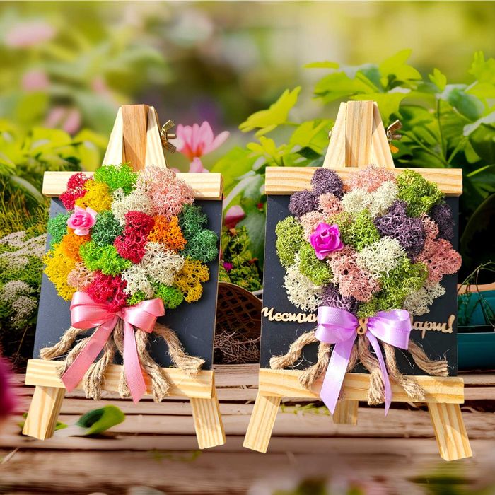 Пана с естествен скандинавски мъх