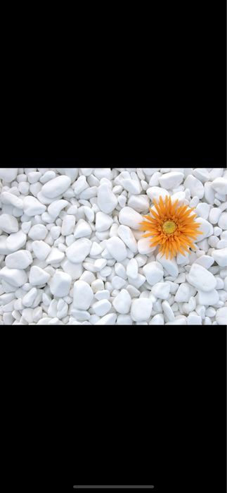 Vand pietricele piatra albe thassos gri verde pentru amenajari gradina