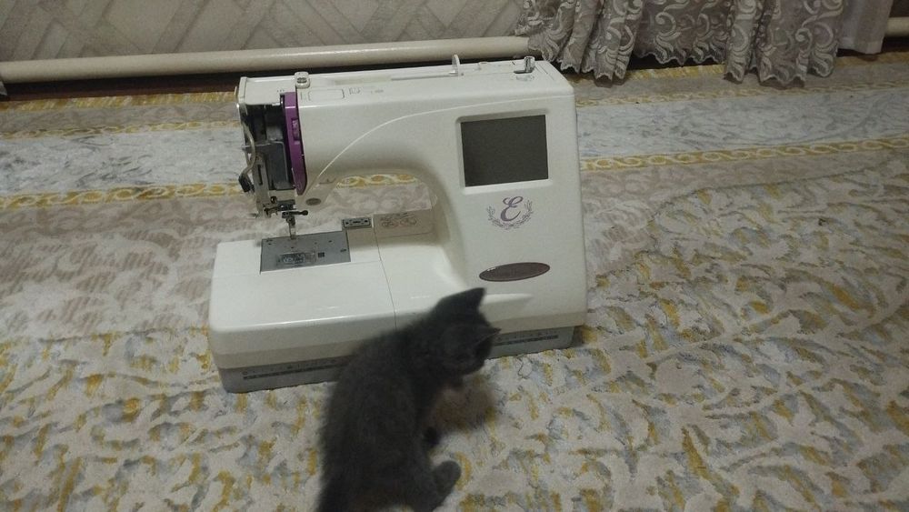 Vishifka janome E 350
