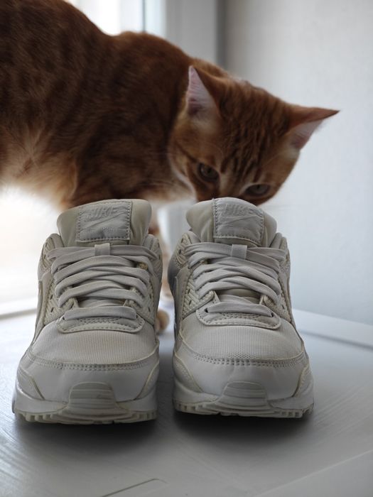 Продам кроссовки nike air