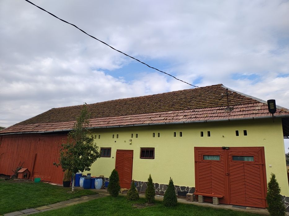 Țiglă veche, tip solzi