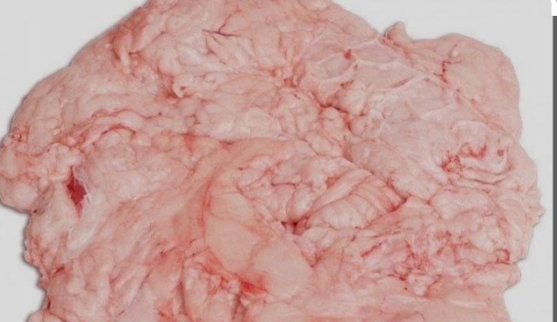 Внутренний жир , сырец