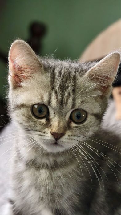 Anna Kovalchukga oxshash porno aktrisa