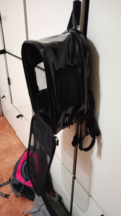 Animale de companie  transport