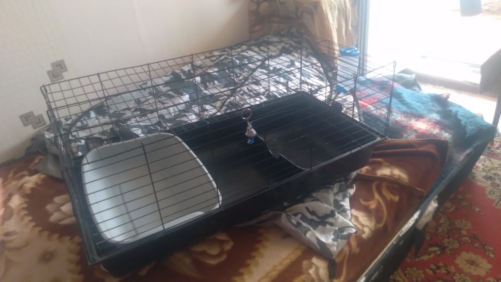 Клетка в хорошем состоянии