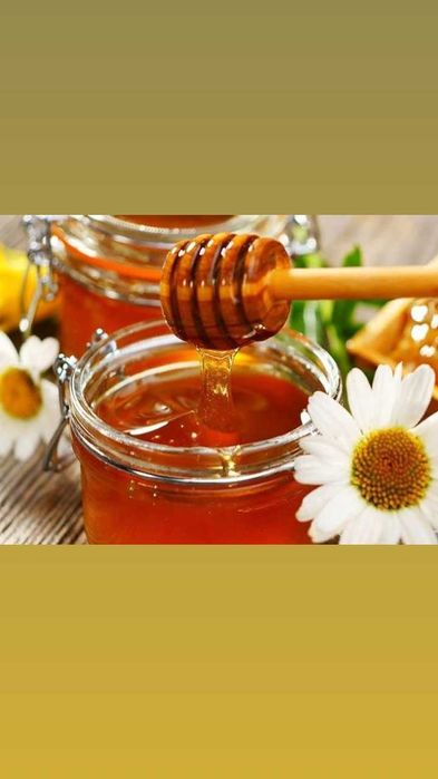 Мед разный - гречичный, донник, цветочный разнотравие (натуральный)
