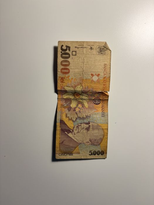 Bancnotă 5000 Lei 1993 – Lucian Blaga