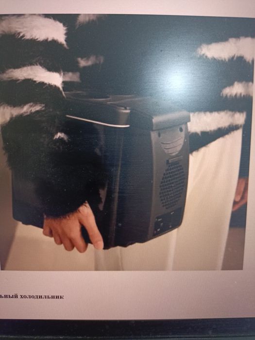 Холодильник автомобилний