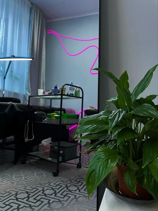 Сдам кушетку мастеру