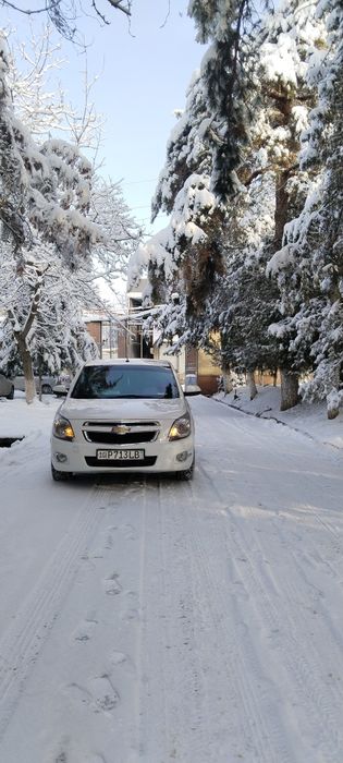 Cobalt 2024 sotiladi