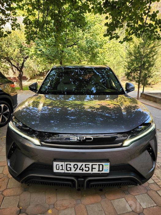 Byd Yuan Up Sotiladi 2026 yil