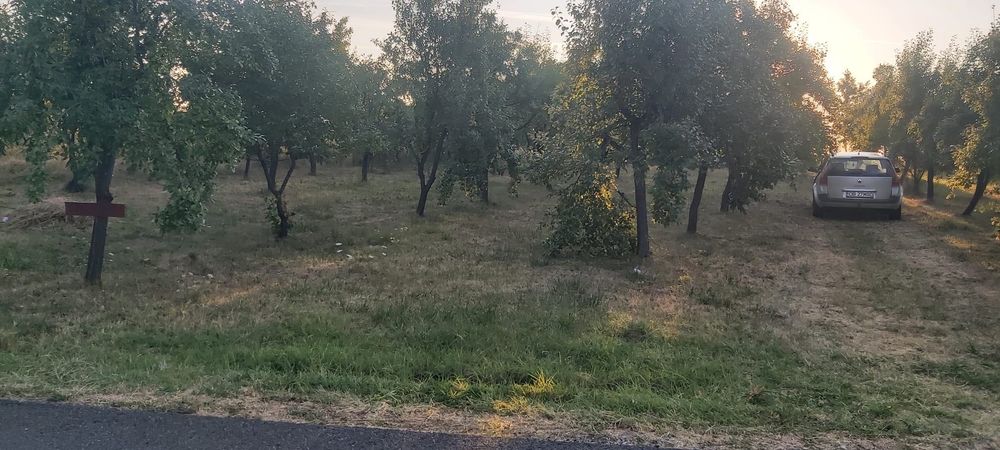 Vand teren intravilan+extravilan Cobia/Dambovita