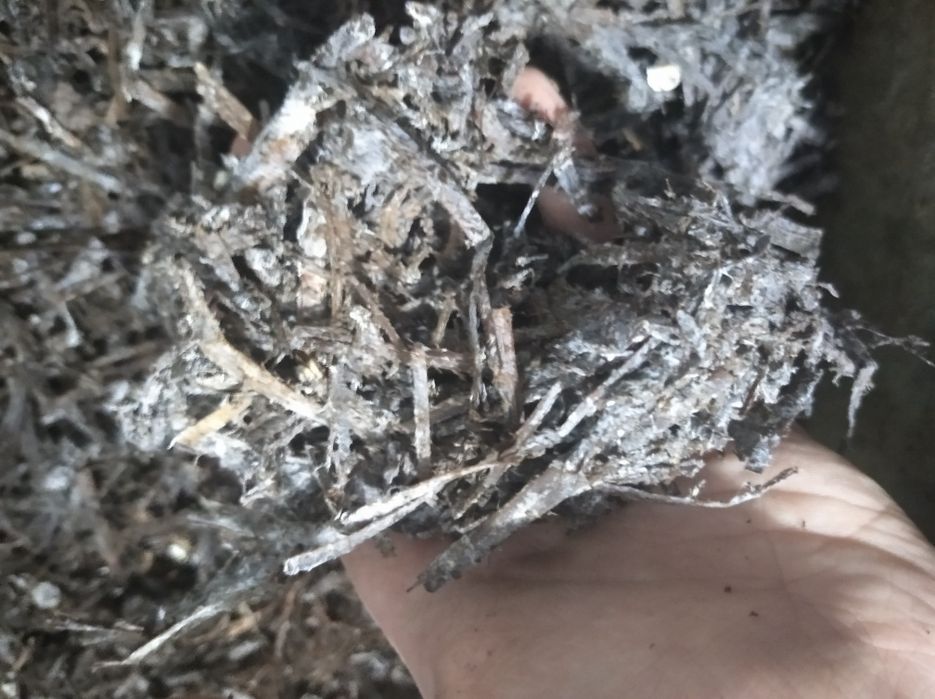 Qo'ziqorin uchun kampost 1kv 150.000 sõm