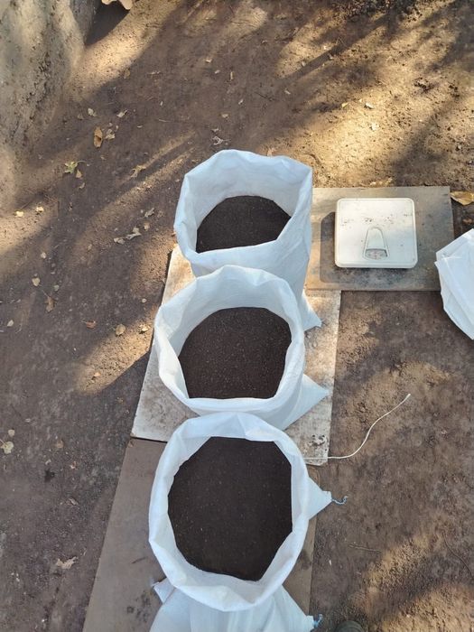 Перегной, чернозем  в мешках