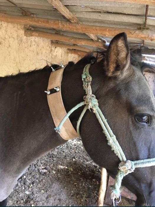 Gps трекердің 1 түрі моделі бар