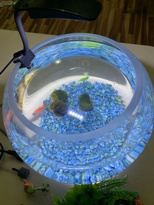 Аквариум круглый большой 8-10 л