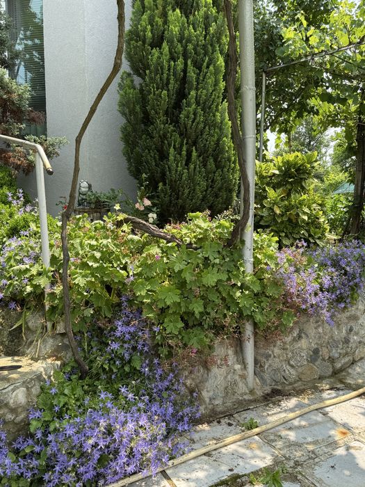 Продава се Къща в с. Стоб, Област Кюстендил - 115 кв.м за 577 €/кв.м - Снимка #2