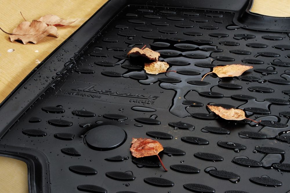 Полики в багаж и салон