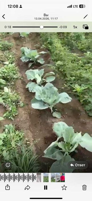 Продам дачу Подснежник2