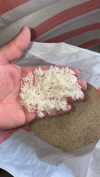 Лазер күріш для плов