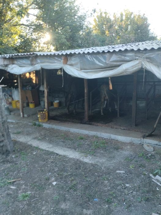 Продам Дом в Кировске.