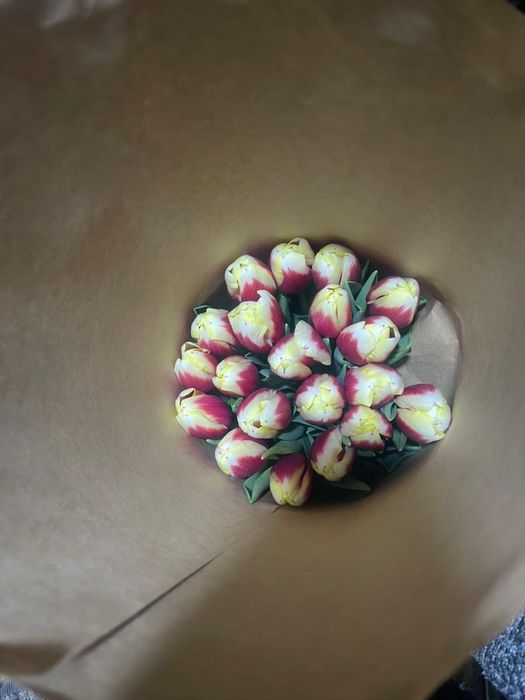 Цветы букеты т ю л ь п а н