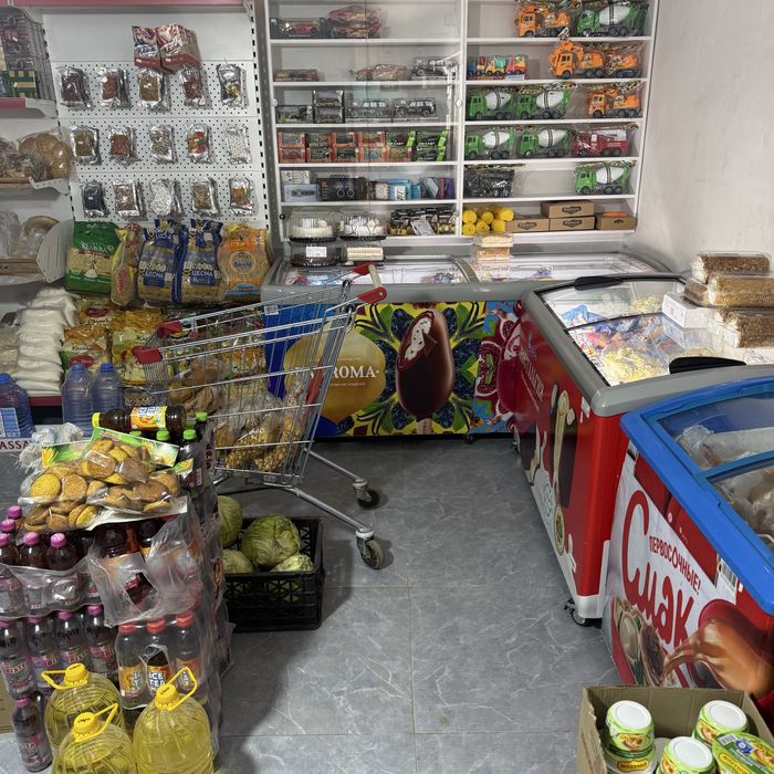 Продам дом с бизнесом