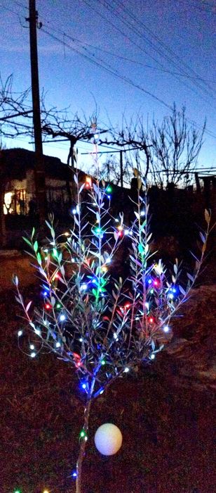 LED соларни коледни градински лампи