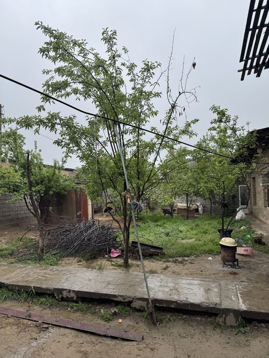 Эркин 3сотих срочно