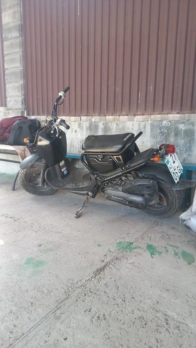 Хонда Зумер 50 куб.