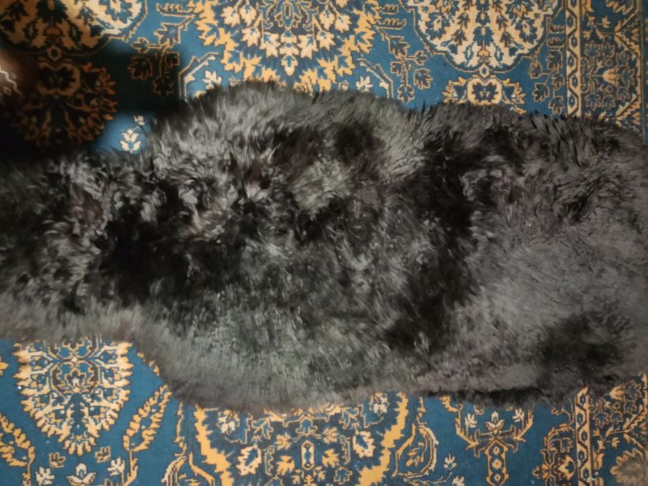 Продал чихол для авто