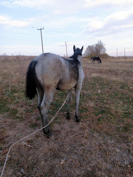 Блять туралы порно сайттар