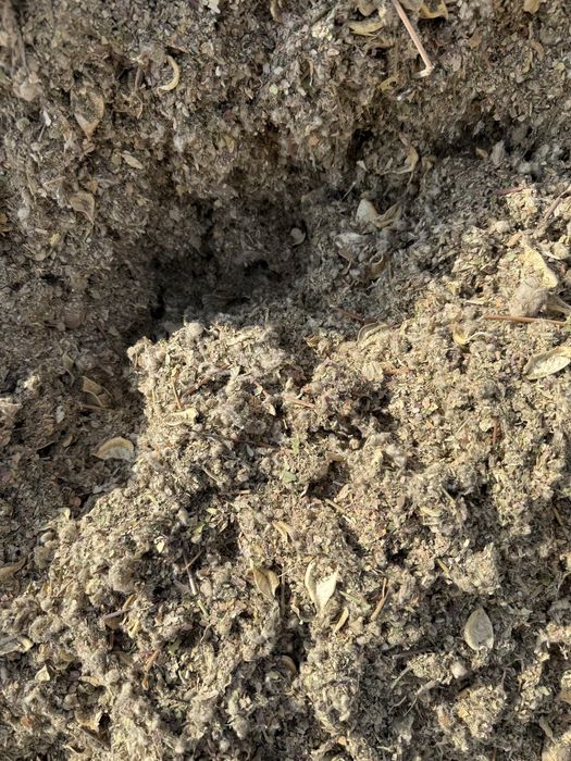 Мақта қауашағы сатылады