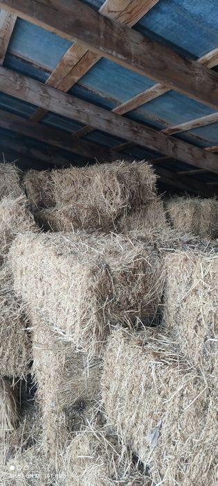 Сено, люцерно, тюк шоп