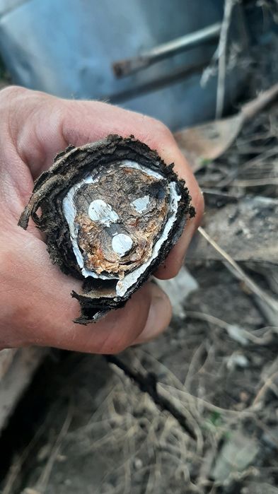 Кабель АСБГ 3×25 (ож) 10, новый