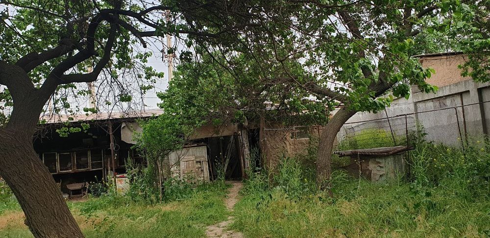 Продаётся дом 12,5 соток на улице Мухтара Ашрафи