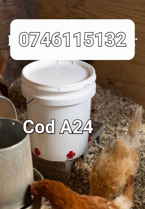 Adapatori pt gaini pui fazani porumbei prepelite- pe galeati/bazin-A24