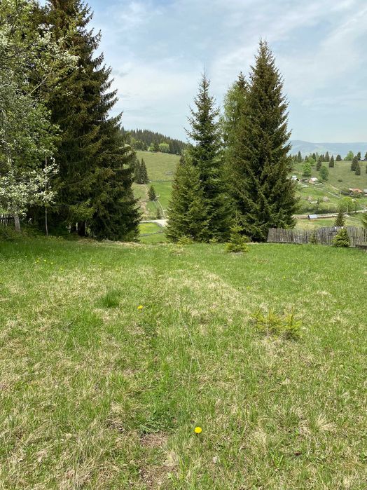 Teren de vanzare in zona de munte