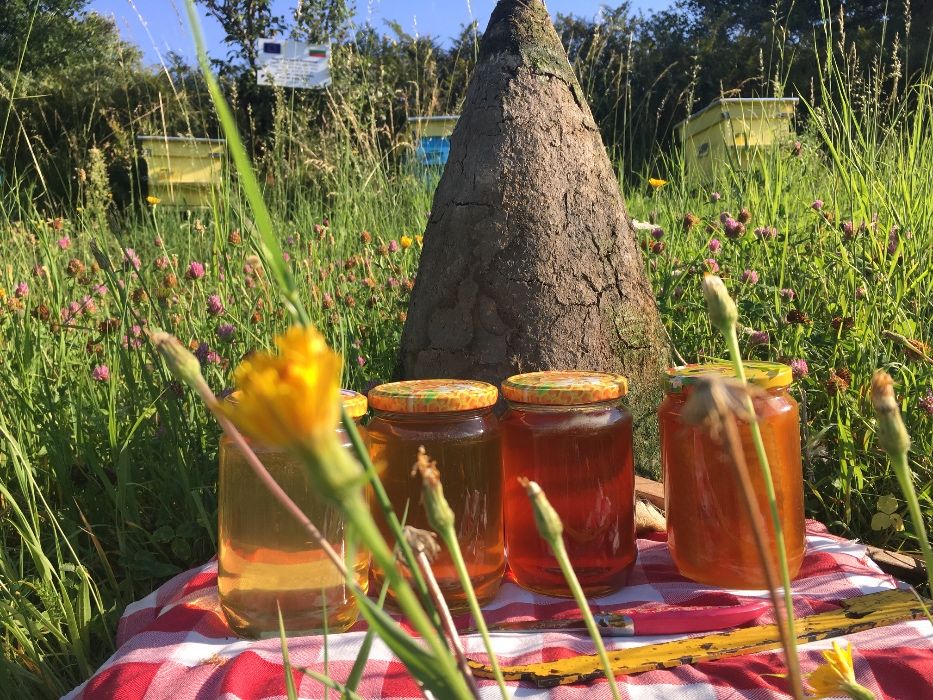 Родопски пчелен мед