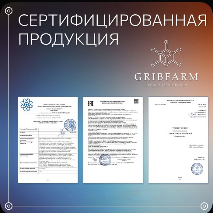 Ежовик гребенчатый и грибы в ассортиенте